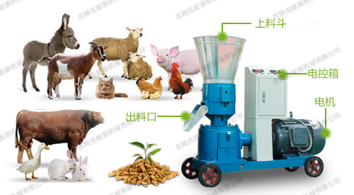 養(yǎng)殖飼料顆粒機(jī) 養(yǎng)殖飼料顆粒機(jī)